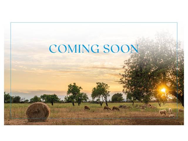 Terreno residencial en Venta en Algaida