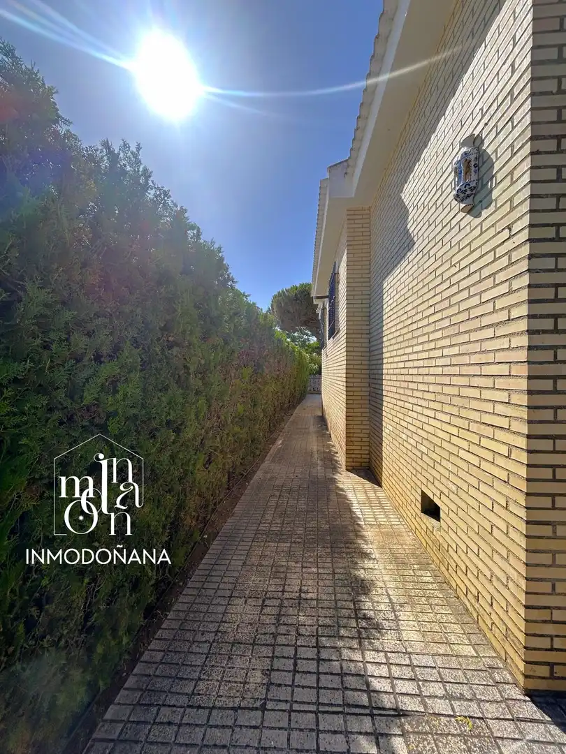 Vista exterior de Casa o xalet en venda en Almonte amb Jardí privat, Terrassa i Moblat