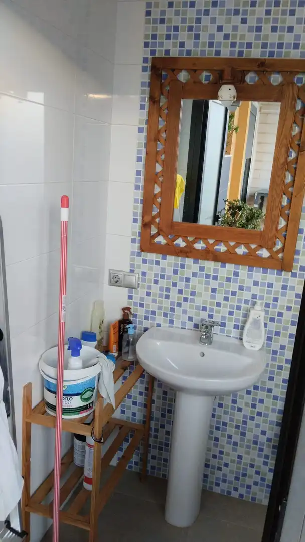 Bany de Casa o xalet en venda en Carrión de Calatrava amb Jardí privat, Terrassa i Piscina