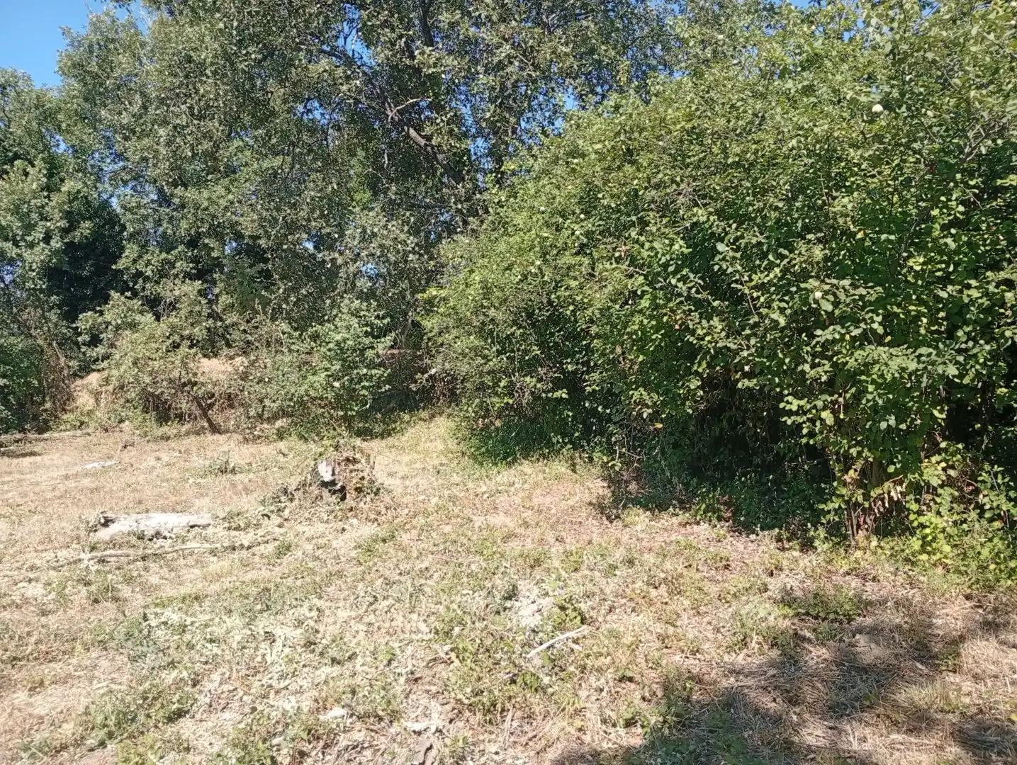 Terreni e lotti in vendita a Villanueva de la Vera, imagen 10