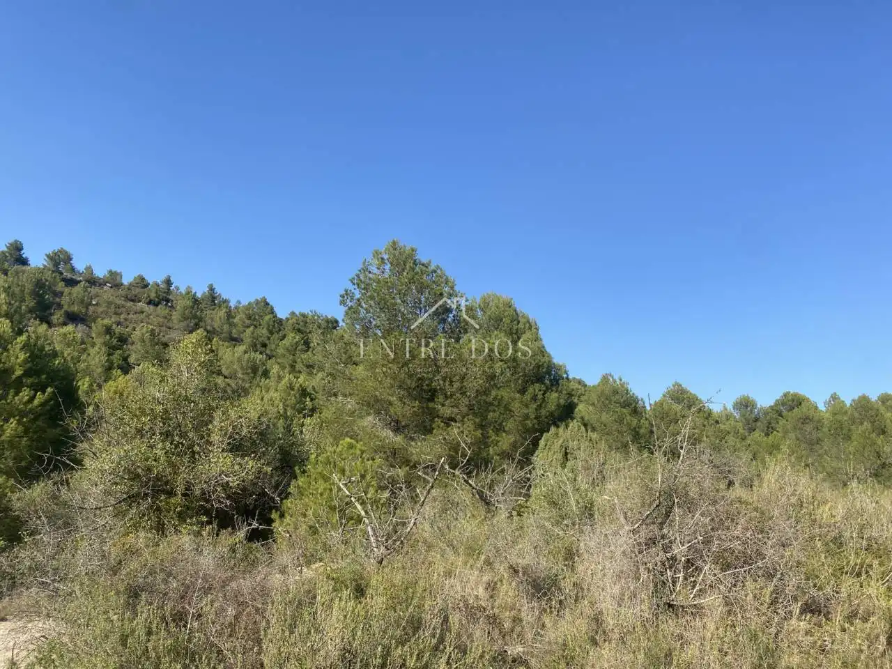 Rural land for sale in 18 parcela 79, imagen 15