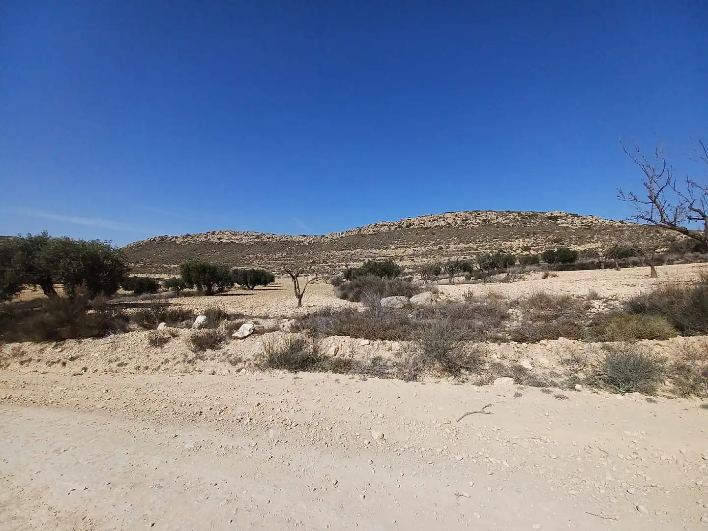 Terreno residencial en venta en El Pinós / Pinoso, imagen 9