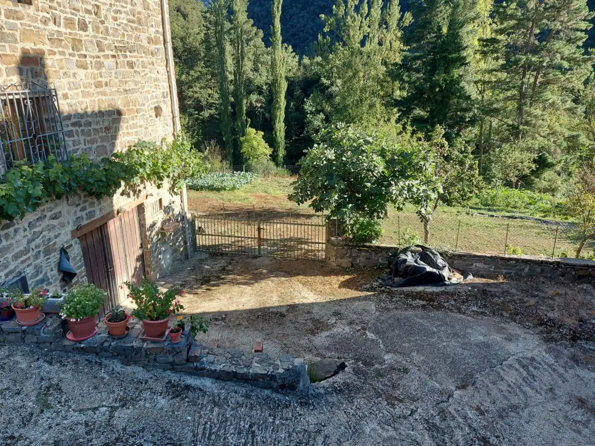 Jardí de Finca rústica en venda en Pesaguero amb Jardí privat