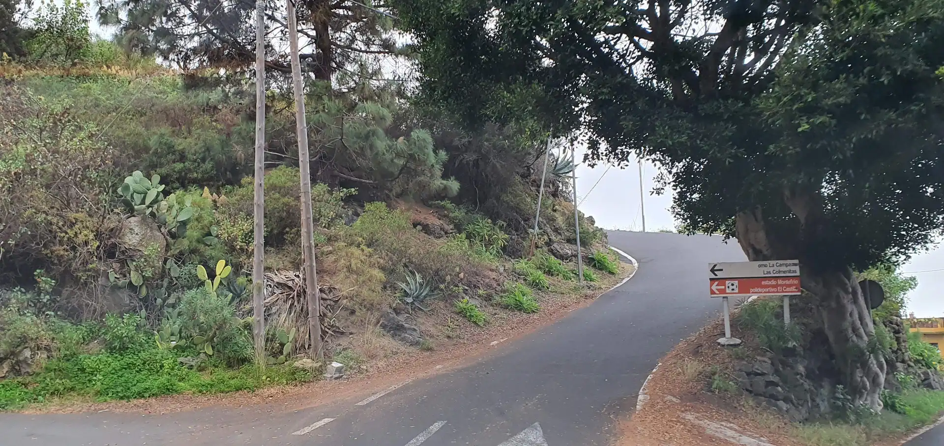 Terreno residenziale in vendita a La Guancha, imagen 9