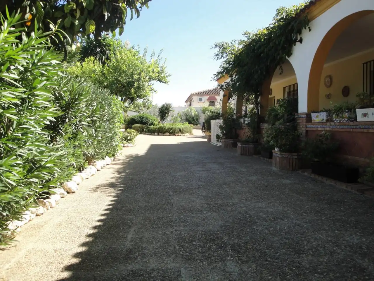 Jardín de Casa o chalet en venta en Carmona con Jardín privado, Terraza y Piscina