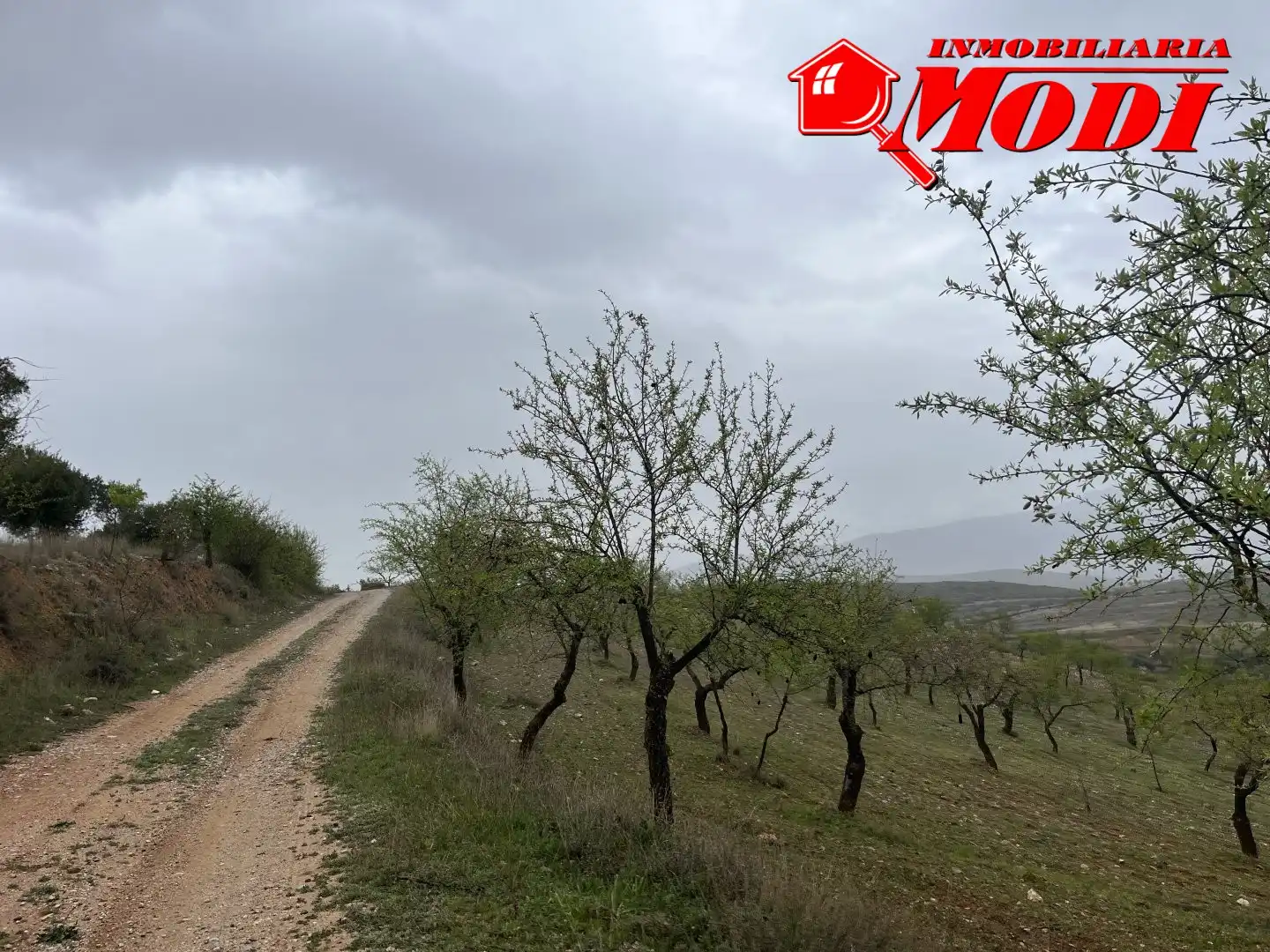 Residencial en venta en Albuñuelas
