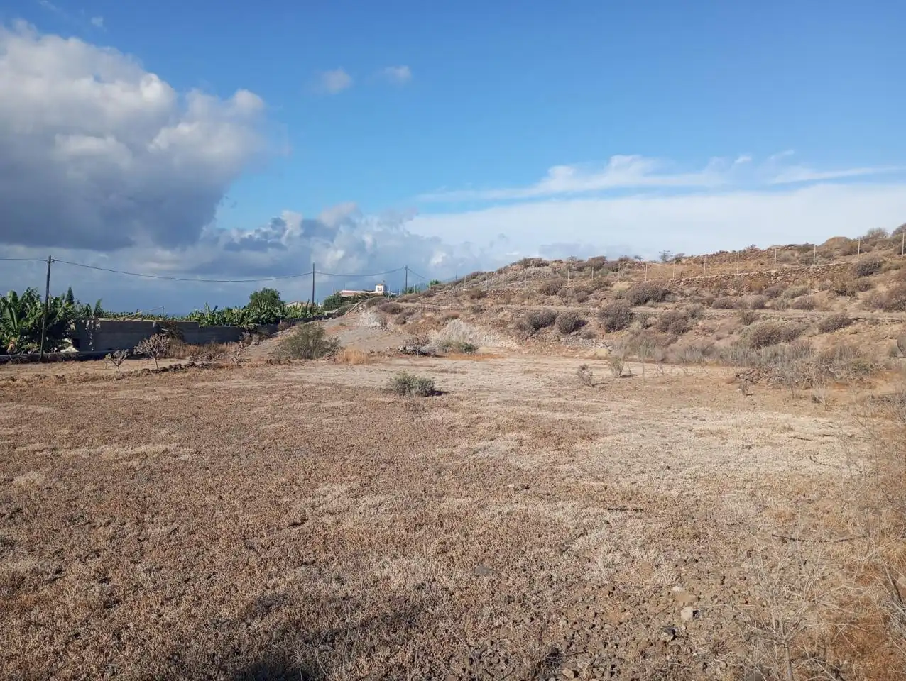 Rural land for sale in Alcalá, imagen 7
