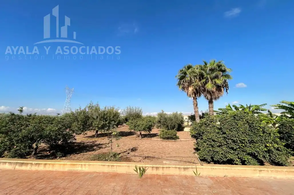 Vista exterior de Finca rústica en venda en Cartagena amb Aire condicionat, Calefacció i Jardí privat