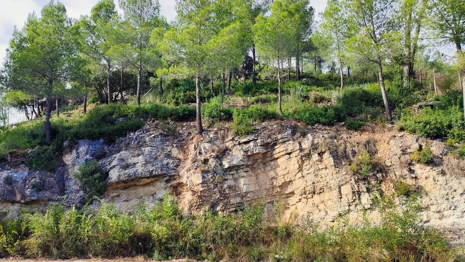 Terreny rústic en venda a Corbera de Llobregat, imagen 3