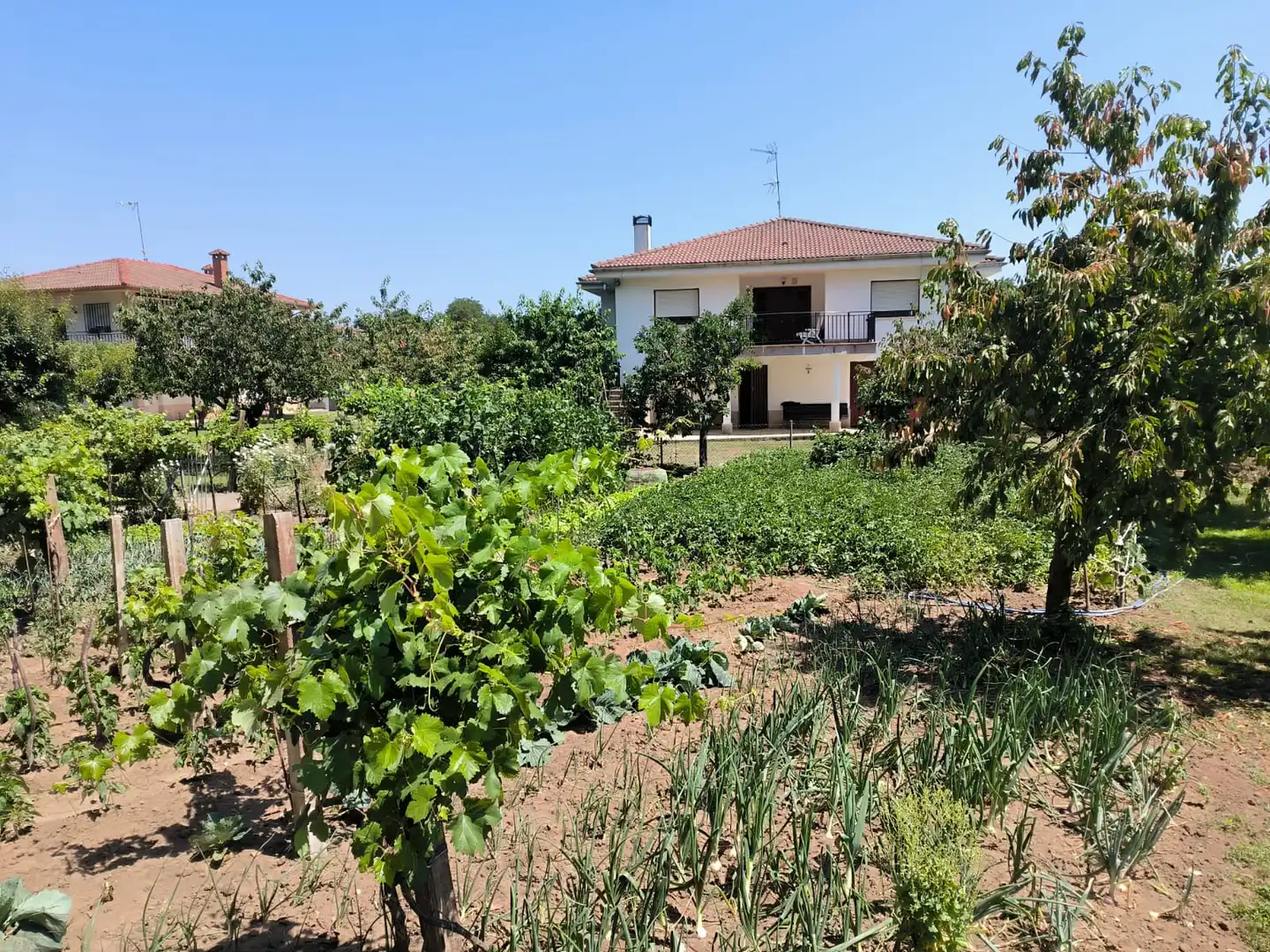 Jardín de Casa o chalet en venta en Medina de Pomar con Calefacción, Jardín privado y Terraza