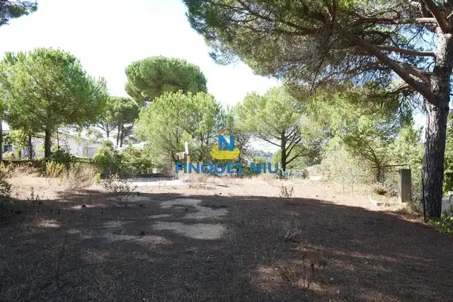 Terreno residencial en venta en Carrer Eucaliptus, imagen 21