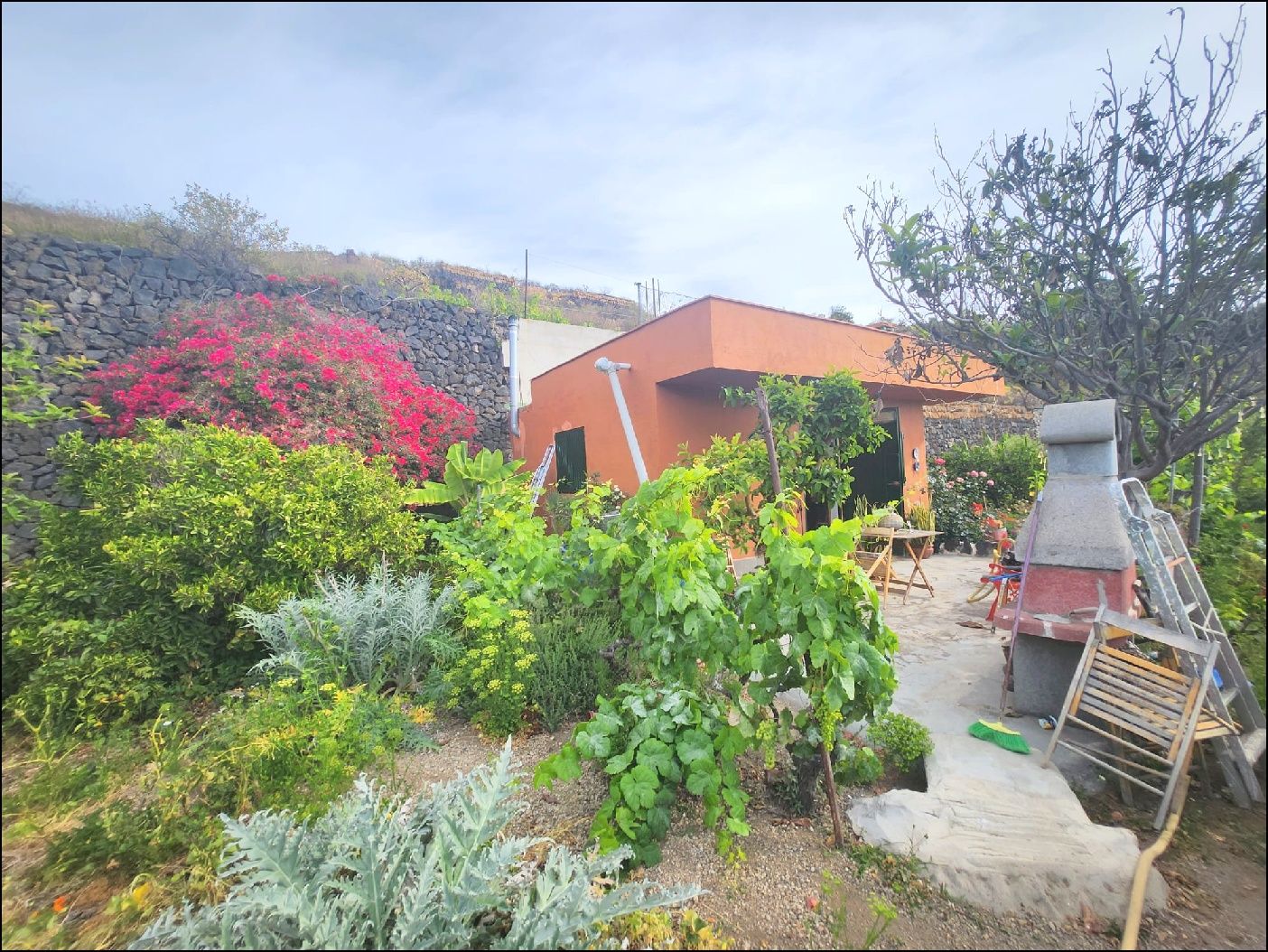Garden of Country house for sale in Güímar  with Private garden and Furnished