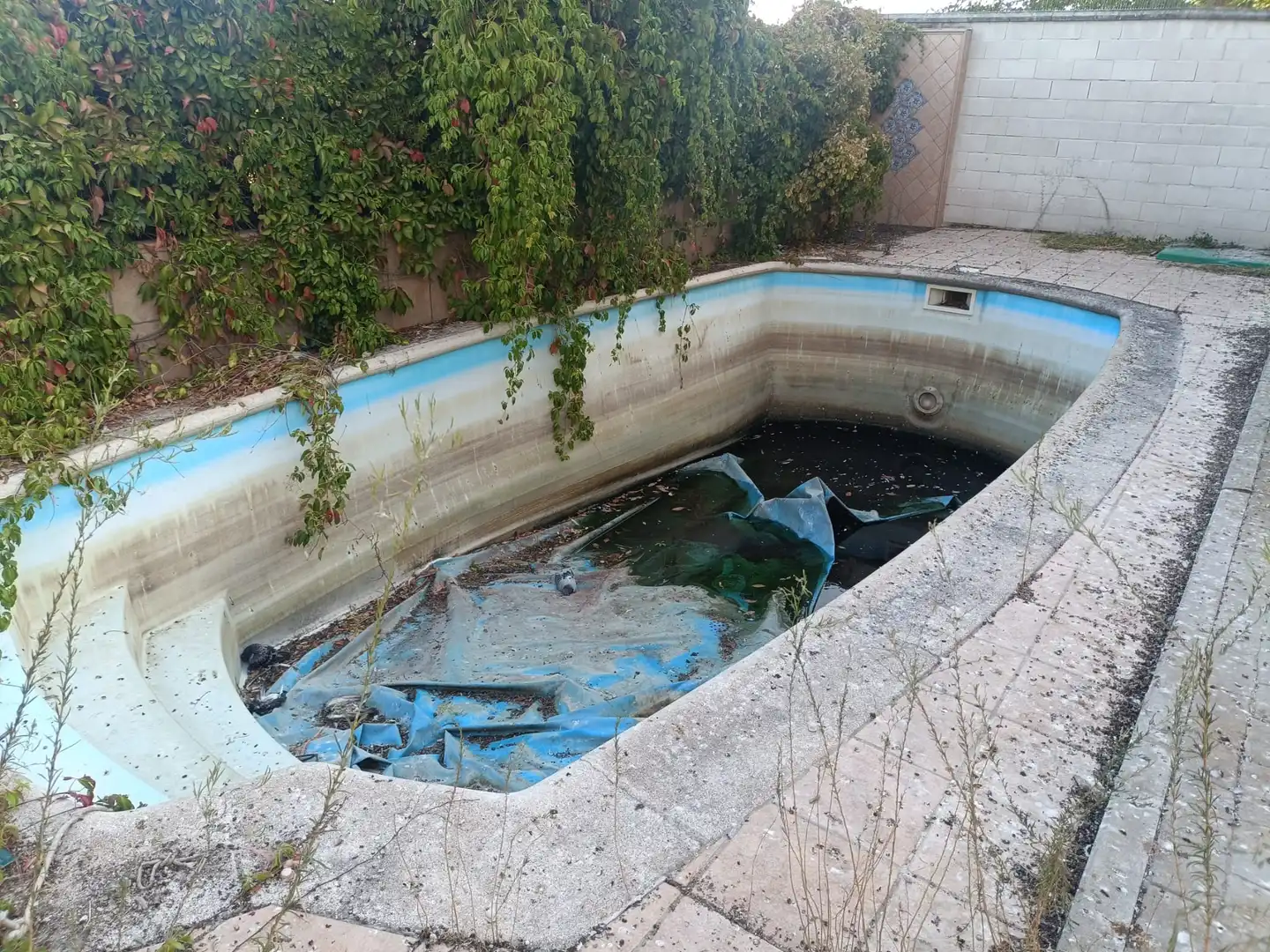 Detached homes for sale in C/ Almendros, La Montaña - El Cortijo