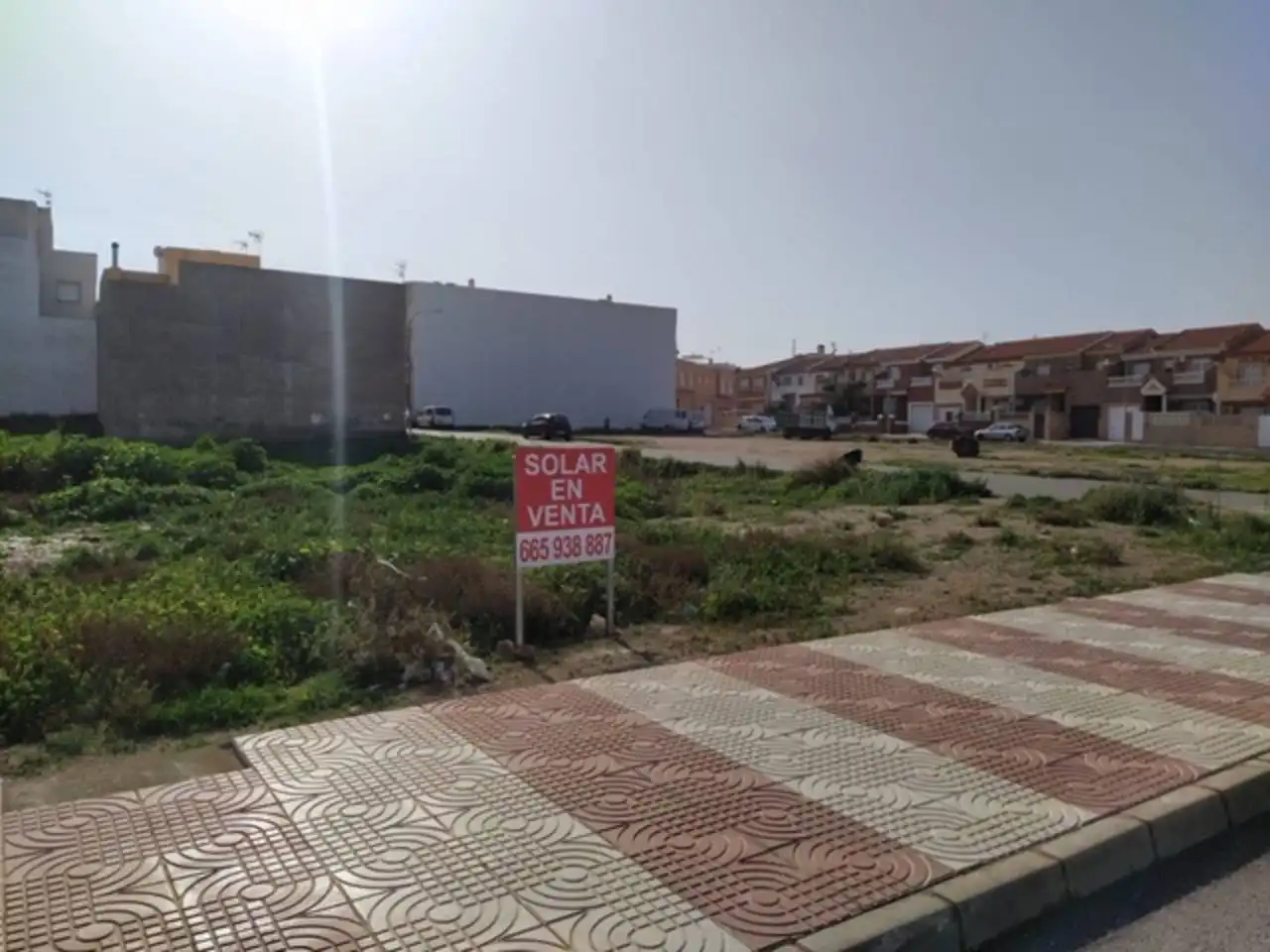 Rural land for sale in Calle camino del algarrobo