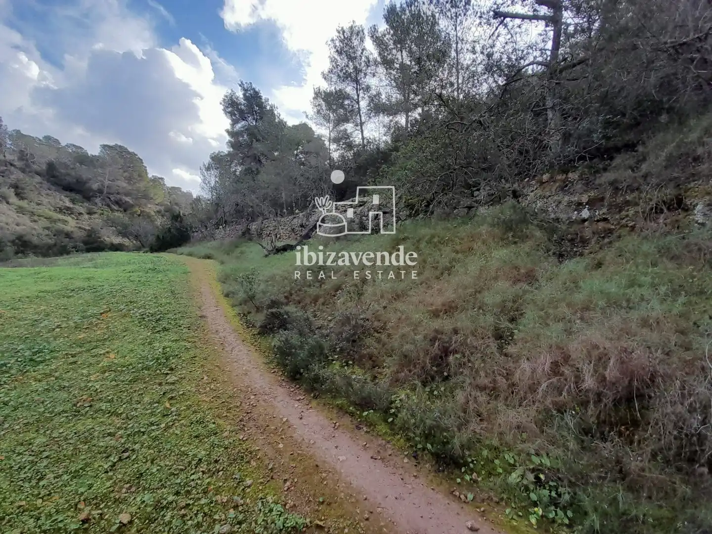 Terreny rústic en venda a de cala tarida, imagen 16