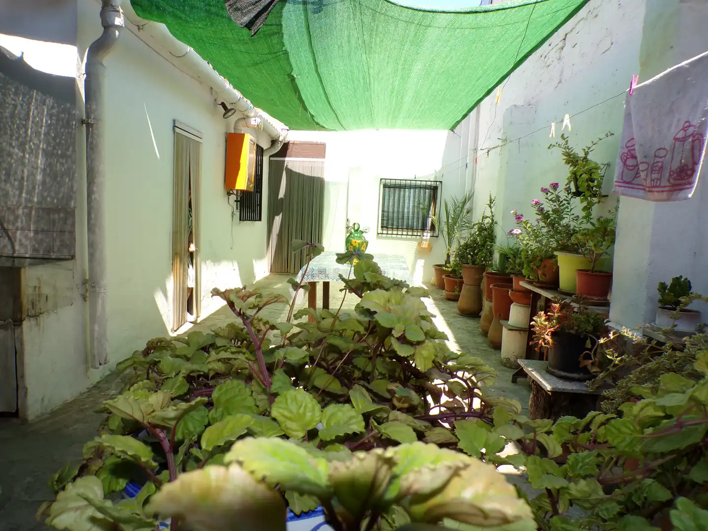 Terrassa de Casa o xalet en venda en Tavernes Blanques amb Jardí privat