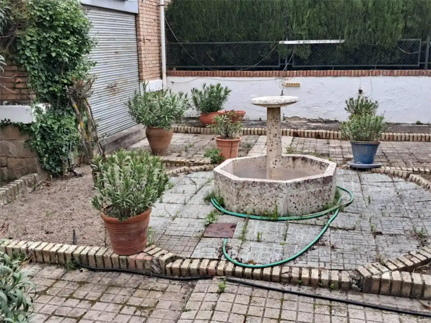 Jardí de Casa o xalet en venda en Baeza amb Jardí privat, Piscina i Moblat