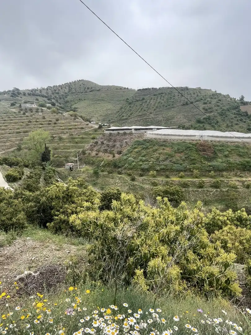 Terreni e lotti in vendita a Ítrabo, imagen 5