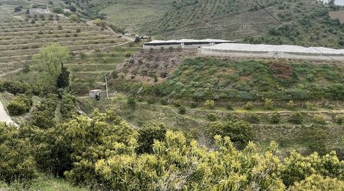 Finca en venta en Pago del Tesoro, ÍtraboOportunidad única! Se vende finca rústica de 9.400m2  totalmente equipada y lista para pr, immagine 5