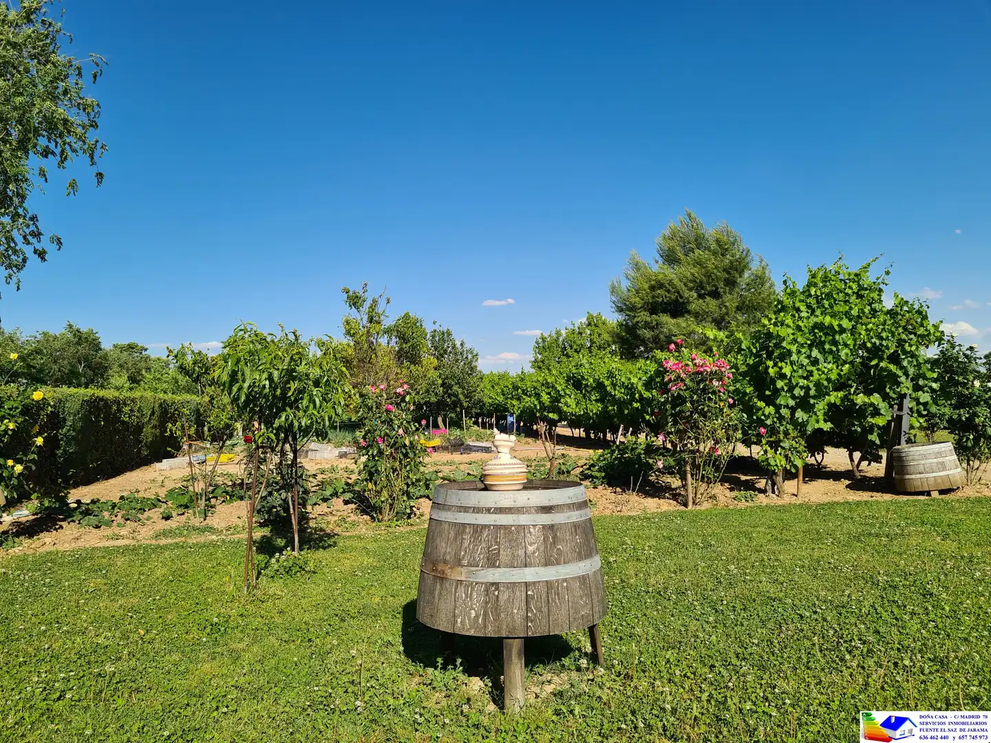 Jardín de Casa o chalet en venta en Fuente El Saz de Jarama con Aire acondicionado, Calefacción y Jardín privado