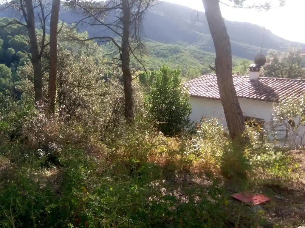 Terreno residencial en venta en Estacio De Torreblanca, imagen 10