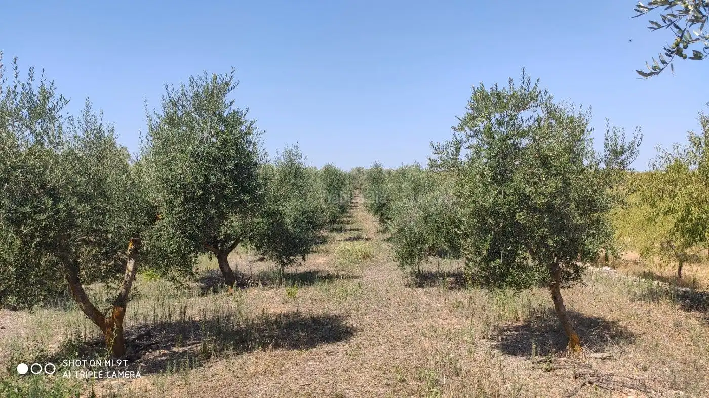Rural land for sale in Carrer de la Muntanya 1, imagen 14