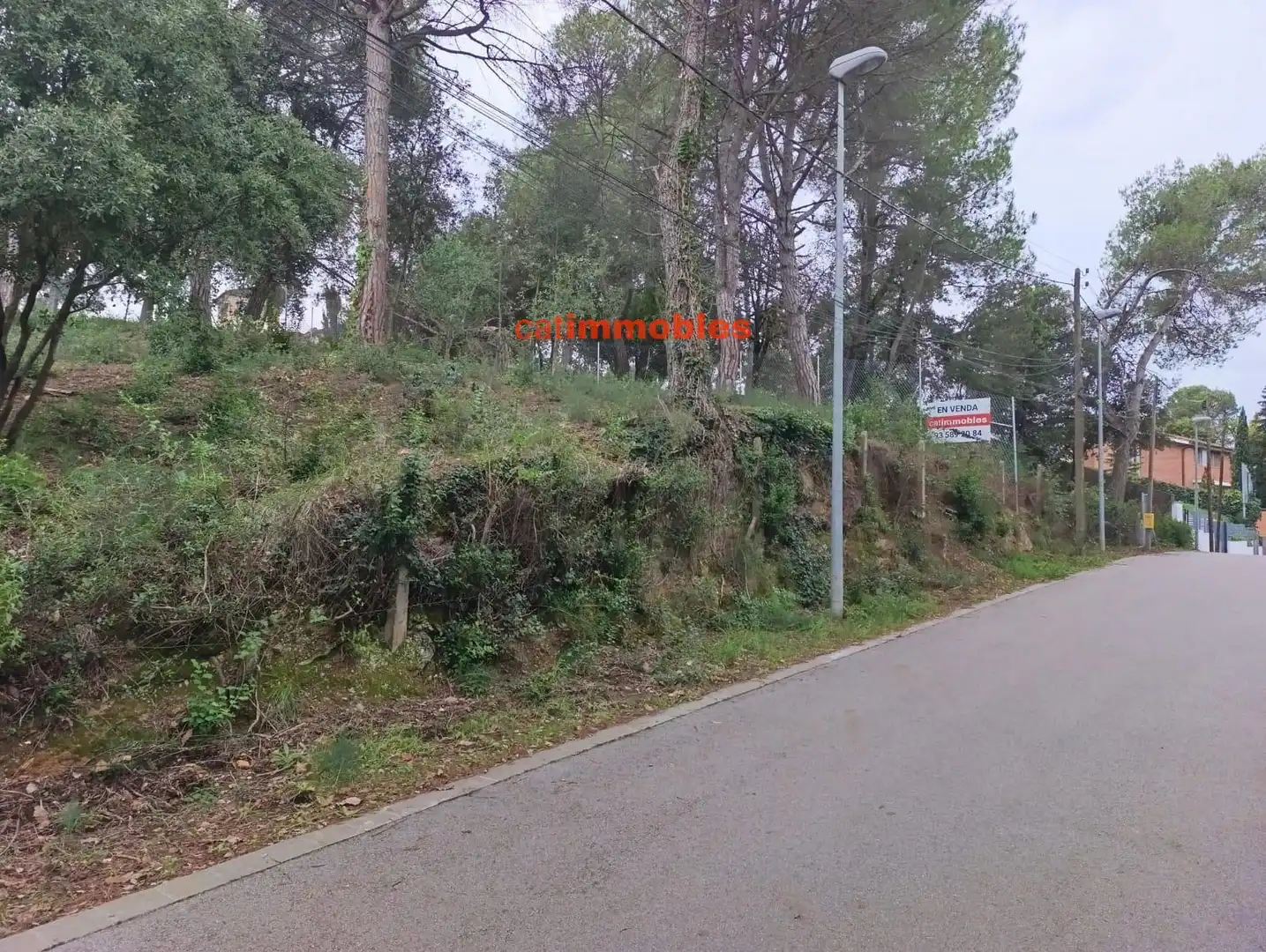 Terreny residencial en venda a Rosa Mariné, imagen 7