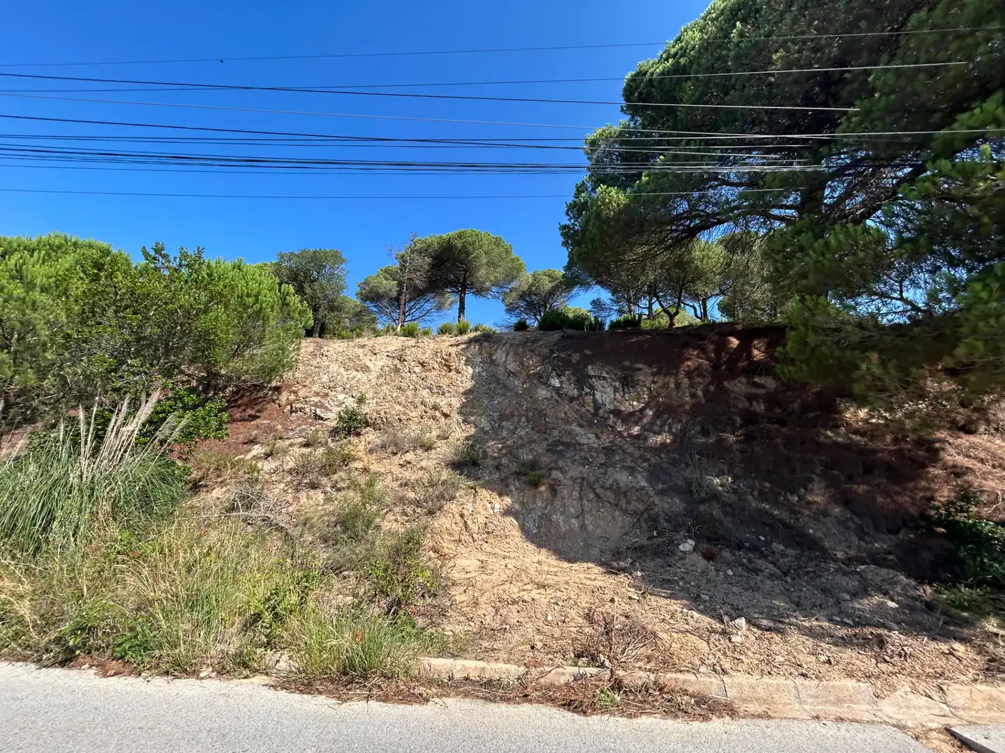 Residential land for sale in Avinguda de la Senyera 27, imagen 5