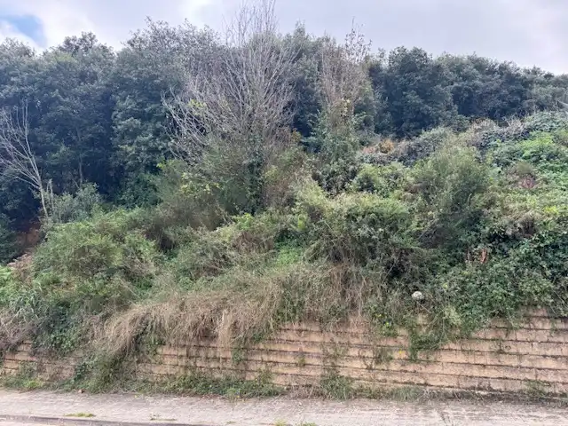 Wohnbaugrundstück zum Verkauf in Carrer Joan Portabella 1c, imagen 3