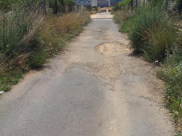 Terreny rústic en venda a Polígono 16
