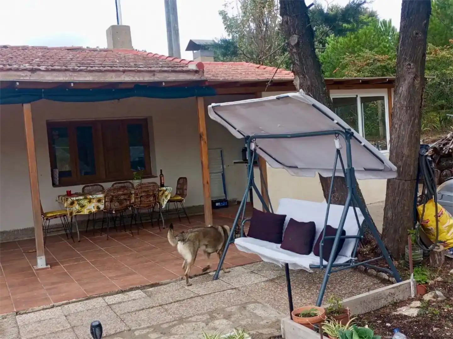 Terrassa de Casa o xalet en venda en Carbellino