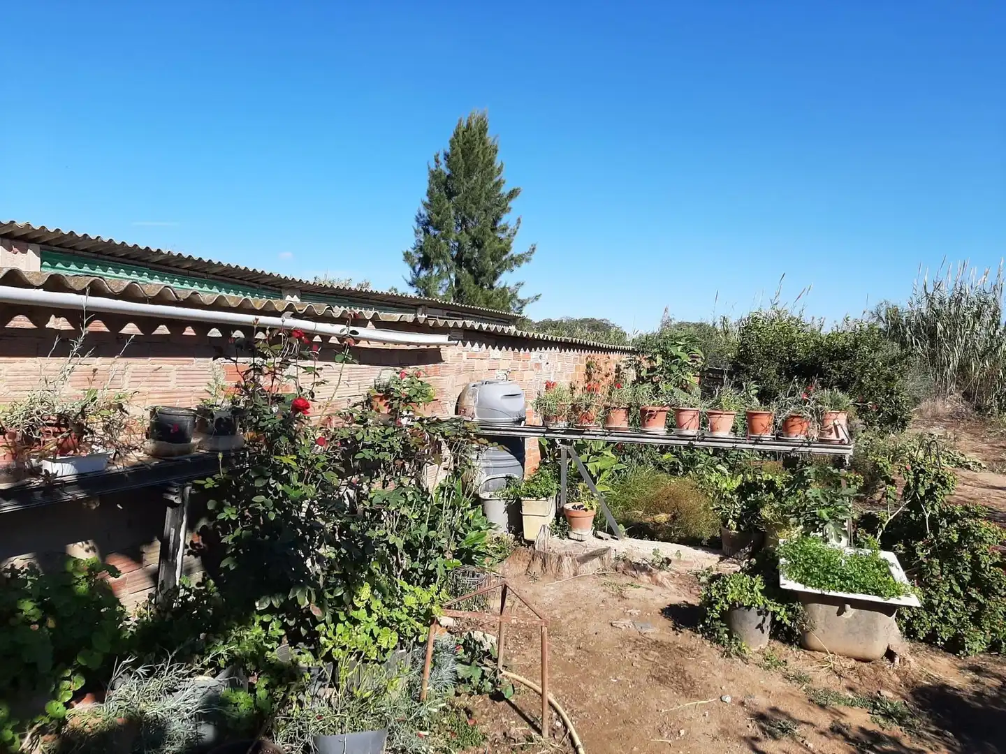 Jardí de Finca rústica en venda en Reus