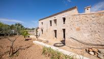 Exterior view of Country house for sale in Manacor  with Private garden and Terrace