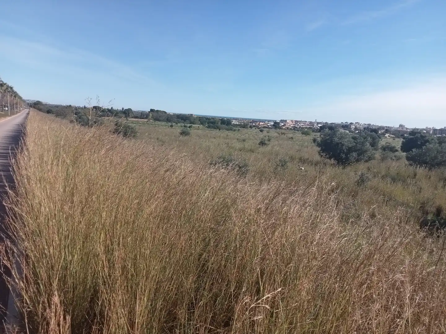 Terreno rustico in vendita a El Grao, imagen 7