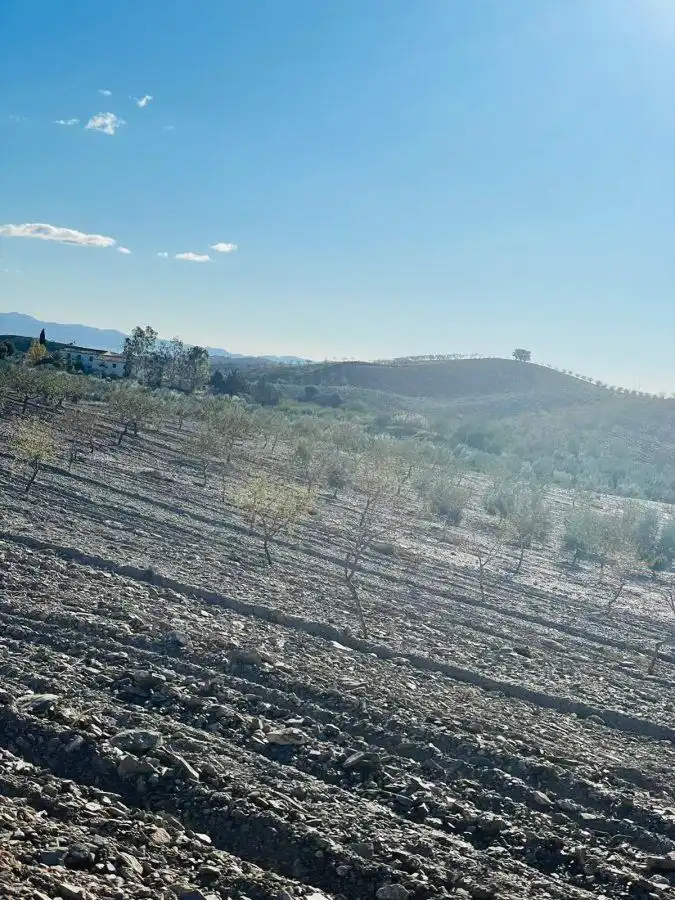 Casa rústica en venda a Puerto Lumbreras, imagen 15