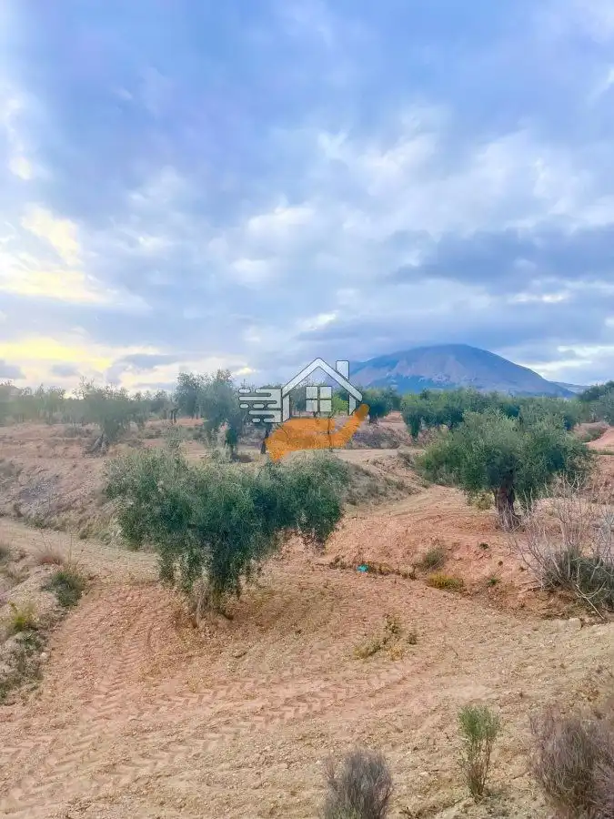 Residential land for sale in Vélez-Rubio, imagen 6
