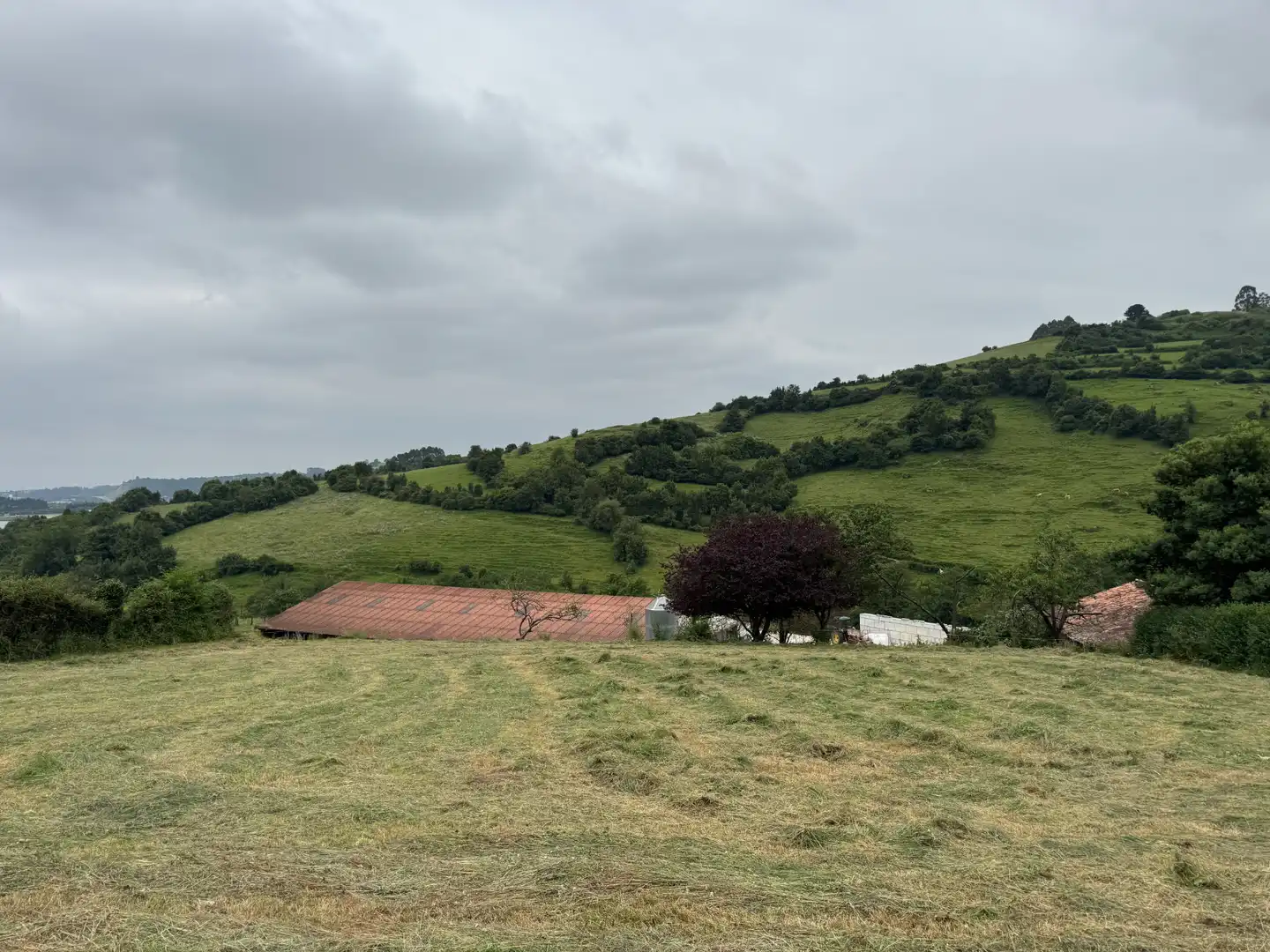 Terreno residencial en venta en Rural, imagen 5