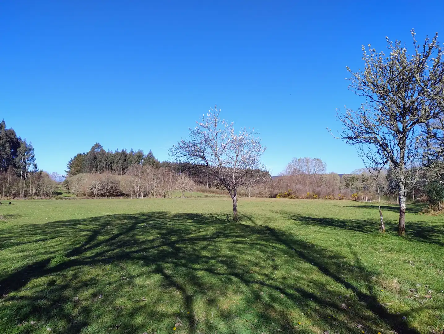Maison à vendre à Begonte, imagen 69