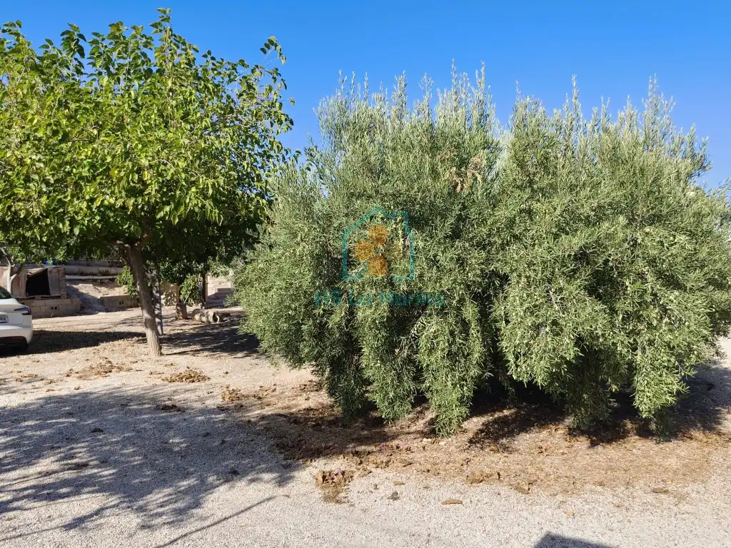 Villa à vendre à Poligono 185 Paraje 17 Pe¥A Aguilas, imagen 27
