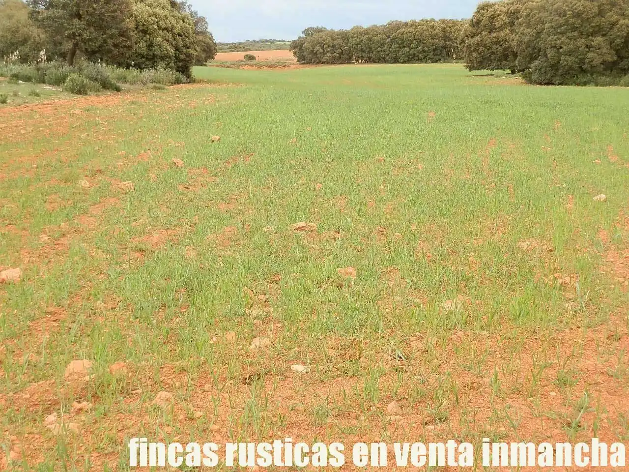 Terreno rustico in vendita a Ruidera, imagen 9