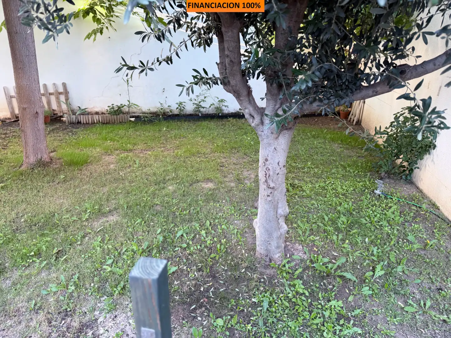 Houses for sale in Calle Paso, San Juan de Mozarrifar