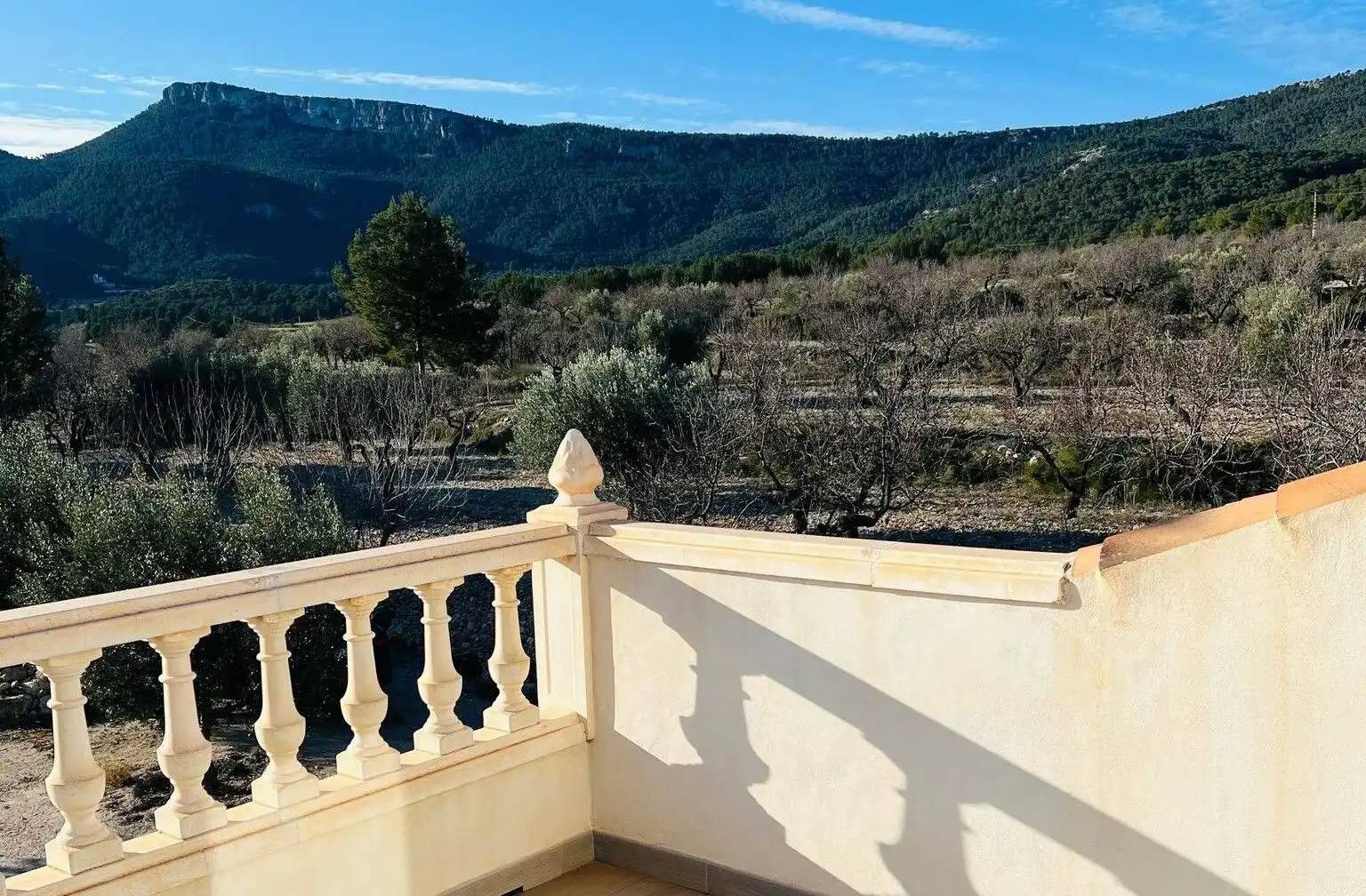 Detached house for sale in Carretera Petrer-Castalla, Castalla, l'Alcoià, Alacant / Alicante, Valencian Community, 03420, Spain, imagen 3