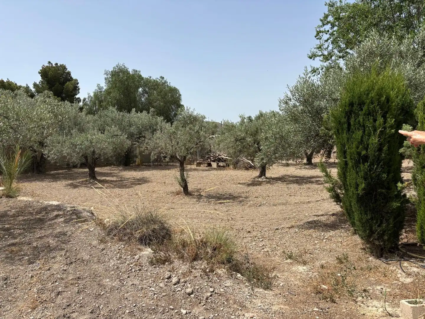 Casa o xalet en venda en Elda amb Aire condicionat, Calefacció i Jardí privat