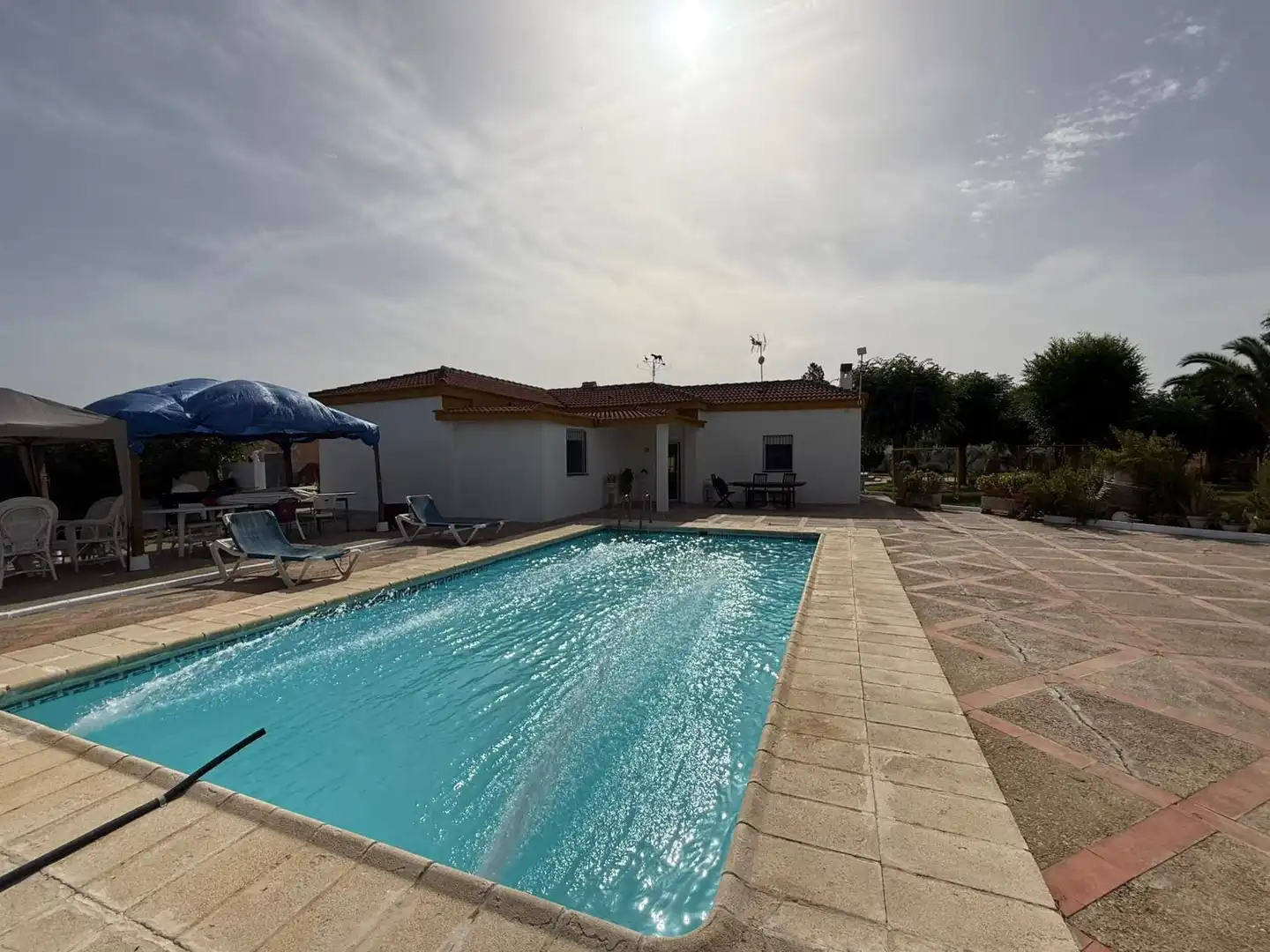 Piscina de Casa o chalet en venta en Carmona con Jardín privado, Terraza y Piscina