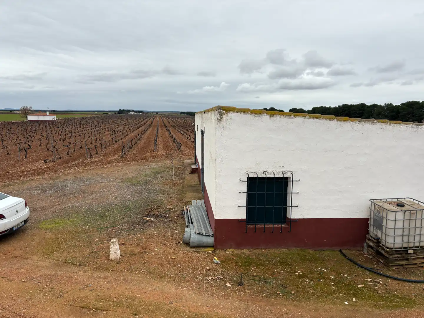Terreno rústico en venta en Camino de Tomelloso a Villarrobledo 562, imagen 7