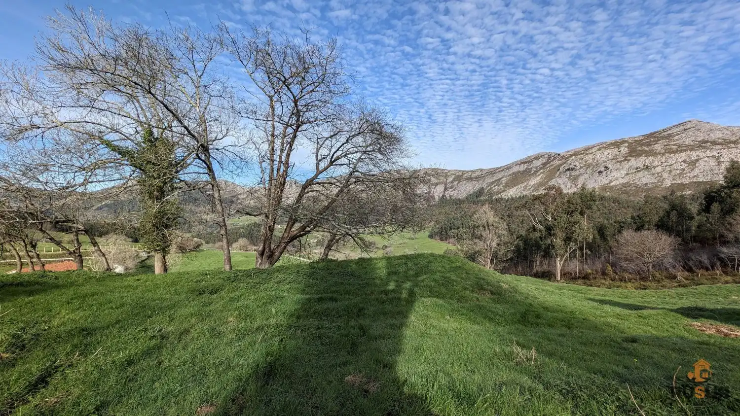 Vista exterior de Finca rústica en venta en San Felices de Buelna