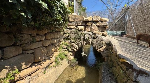 Photo 5 of Land for sale in N/a, -1, La Fresneda, Teruel