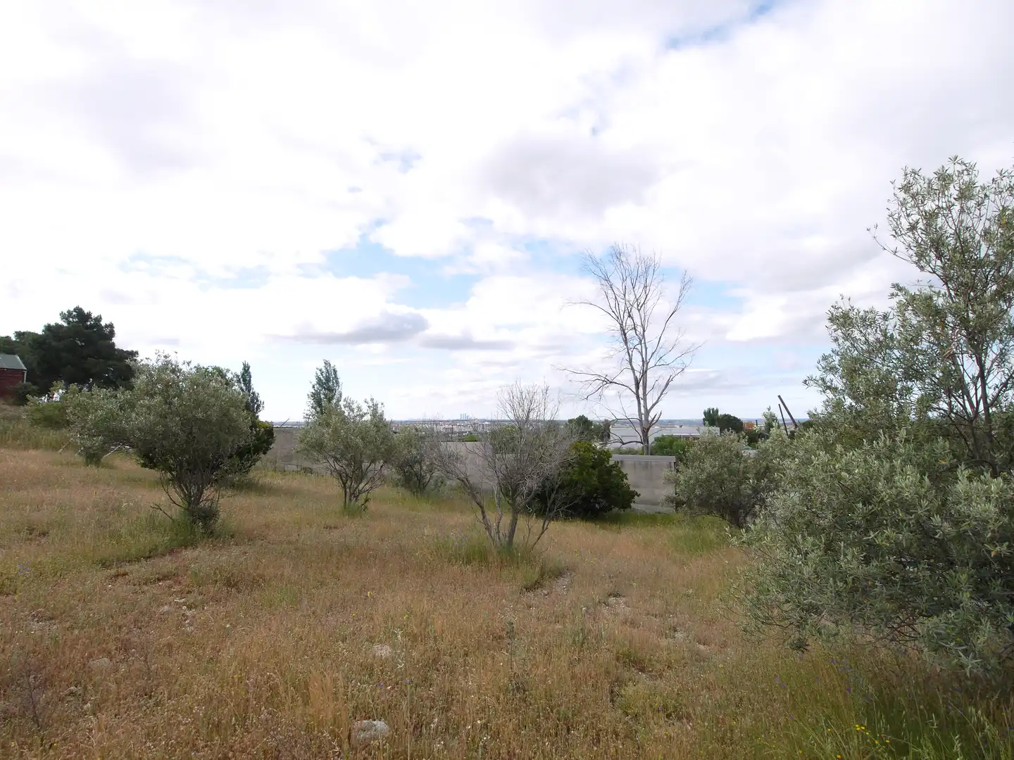 Grundstücke zum Verkauf in Vial Camino, El Olivar - La Magdalena