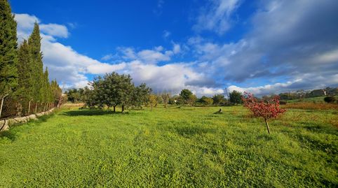 Photo 3 of Houses for sale in Establiments, Palma de Mallorca