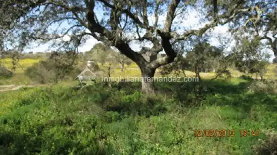 Terreni e lotti in vendita a Arroyo de la Luz, imagen 2